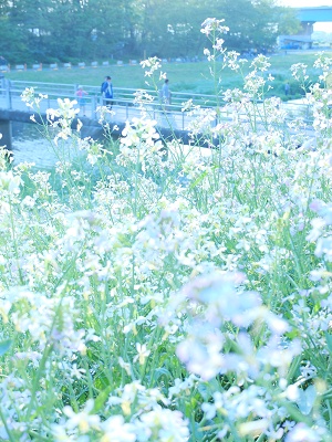 大学受験 総合型選抜 旧ao入試 から 一般入試に切り替える人へ Dear Hope